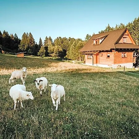 Nad Briezkami * Raková
