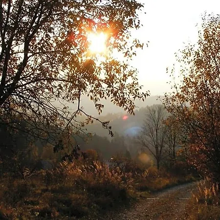 بيت خشبي Nad Briezkami