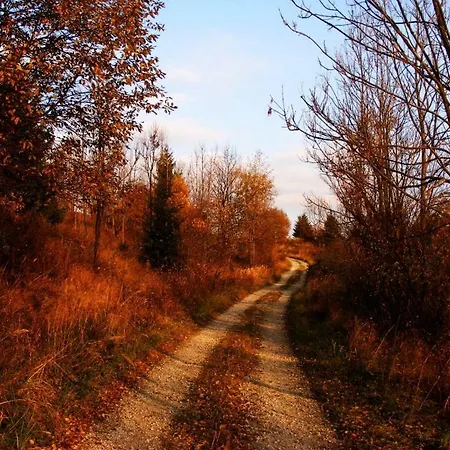 Lodge Nad Briezkami Rakova