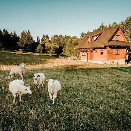 Nad Briezkami بيت خشبي *