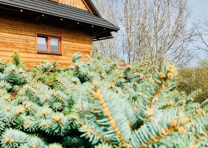 Nad Briezkami Rakova