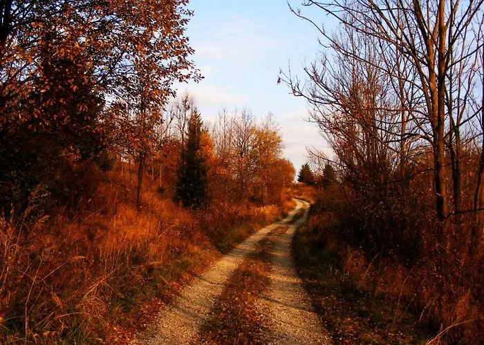 Hytte Nad Briezkami Raková