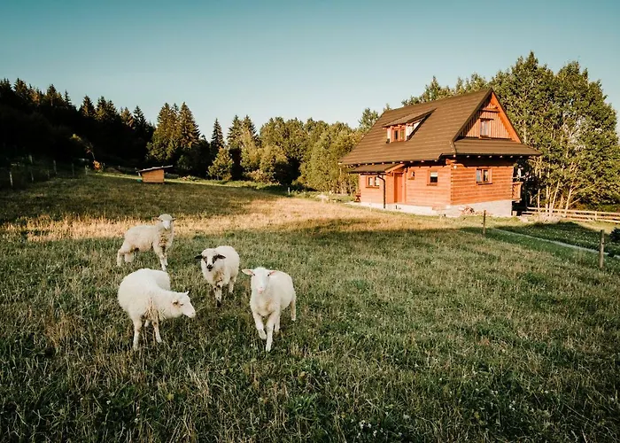 Nad Briezkami Hytte *